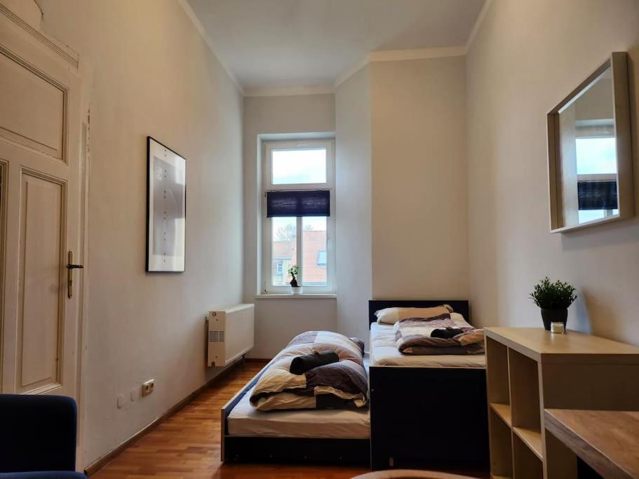 4 Raum Wohnung Mit Balkon Auf 120Sqm In Top Lage Dresda Esterno foto